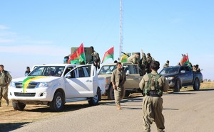 sengal-hpg-ybs-gucleri
